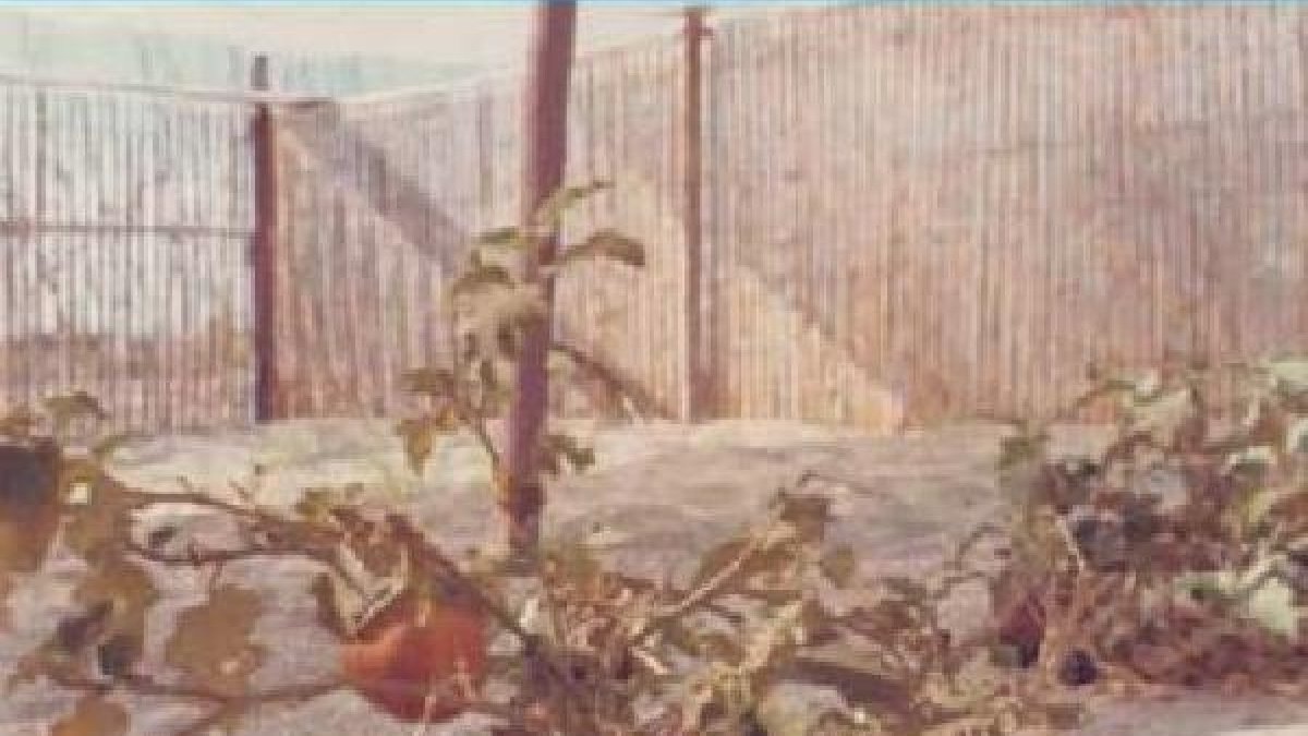 La finca 24 del barrio San Francisco del Parador, donde comenzó todo.tyle>.apqj{position:a