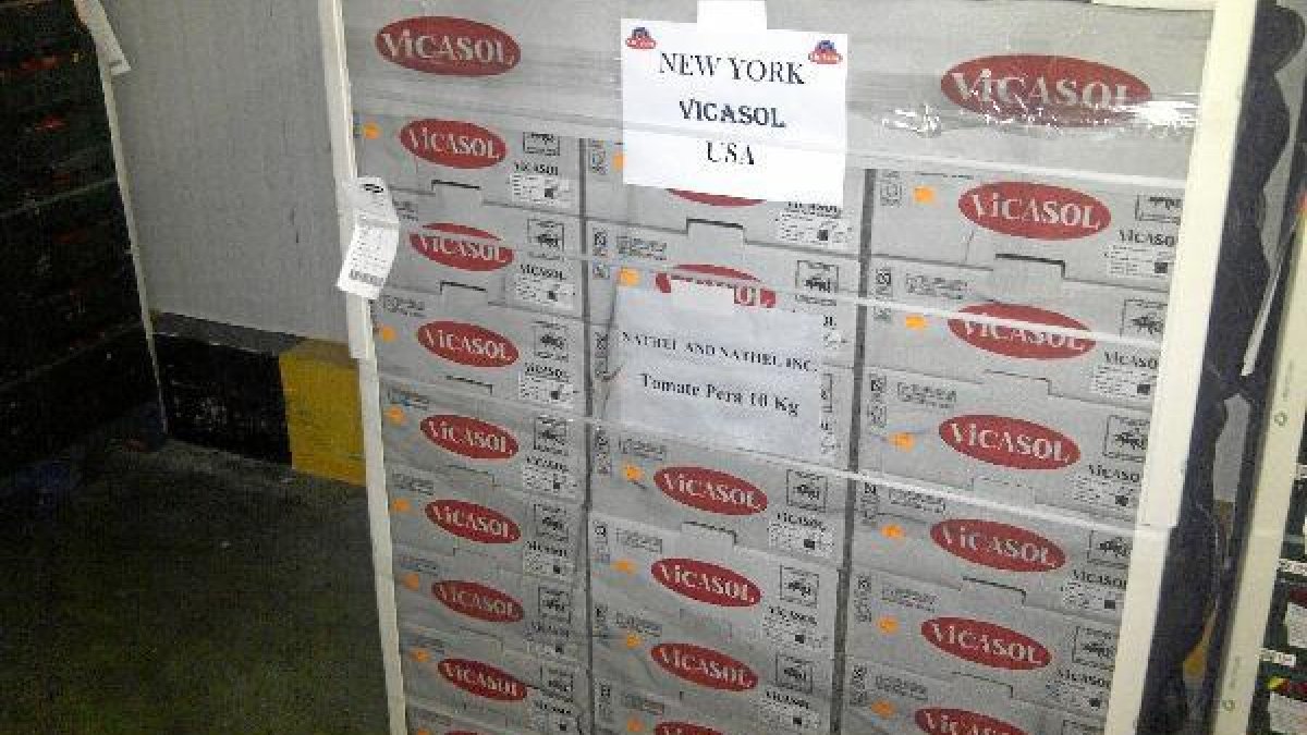 Tomates preparados para salir destino EEUUx,aut