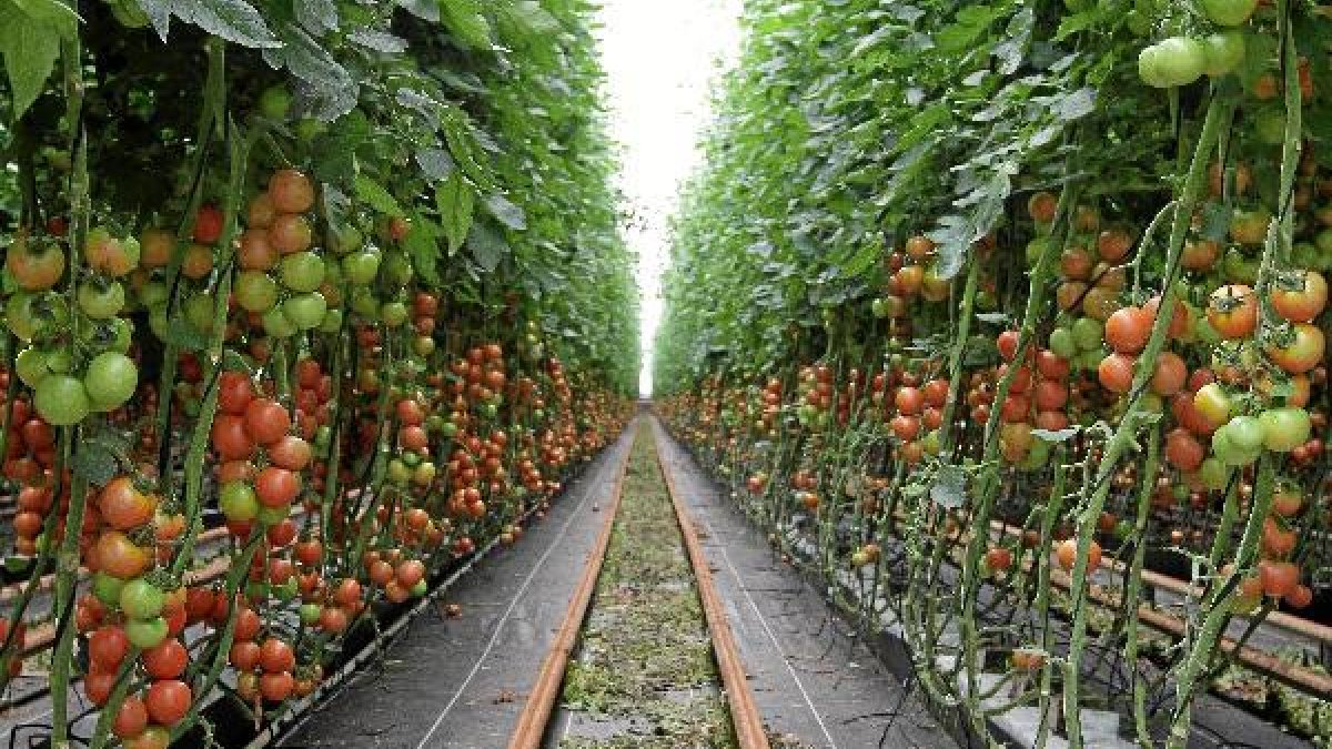 La agricultura se de Almería, la que menos ayudas recibe de toda Españatyle>.apqj{position