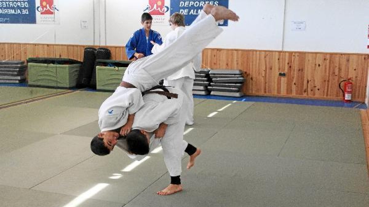 Judocas en acción