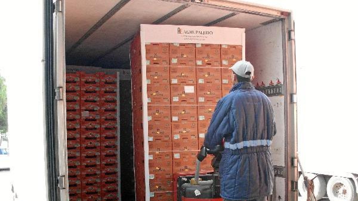 Carga de hortalizas en Agrupaejidoo,4