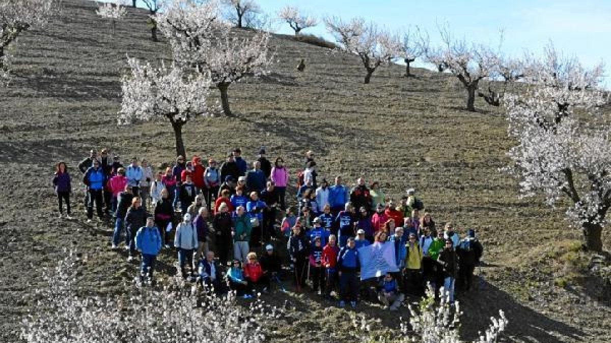 Las rutas atraviesan paisajes cuajados de almendros en flor.