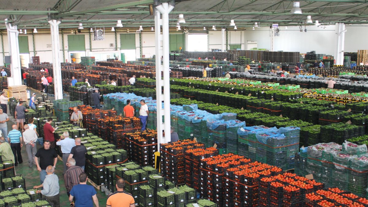 Vista panorámica de las instalaciones de la subasta de Agroponiente en el Polígono La Redonda de El Ejido.