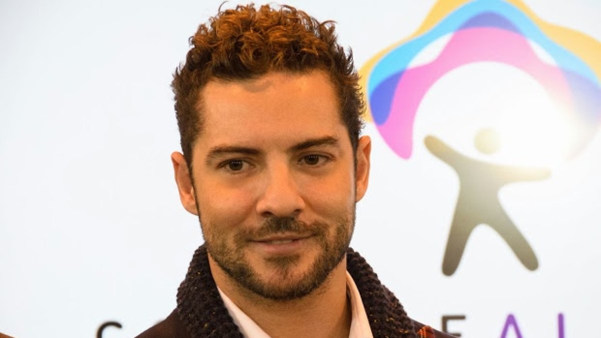 El cantante David Bisbal