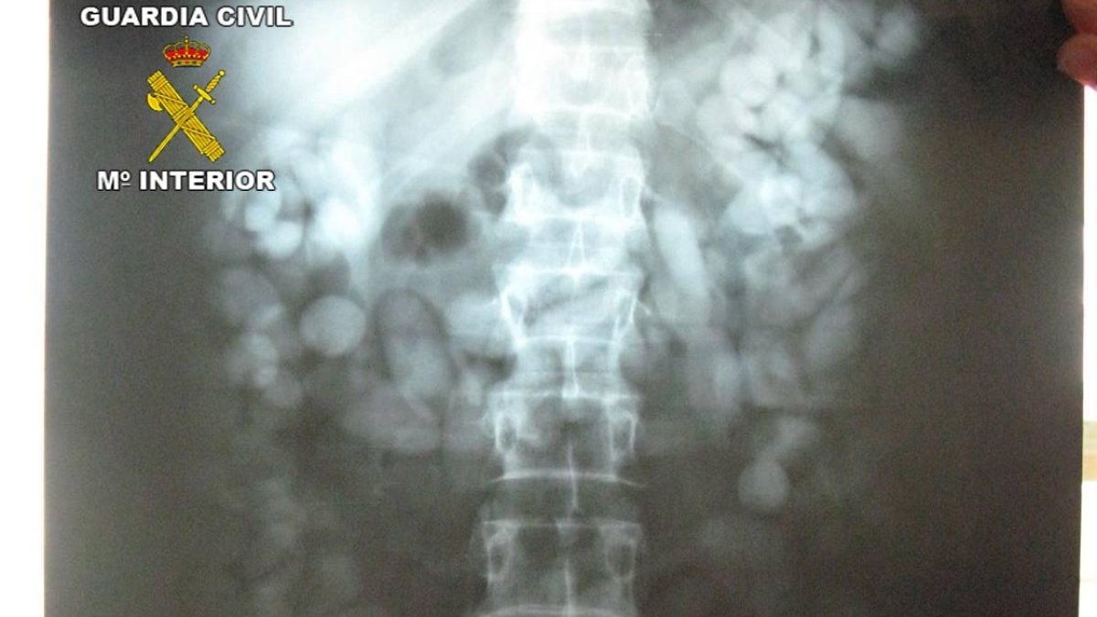 Radiografía de un traficante