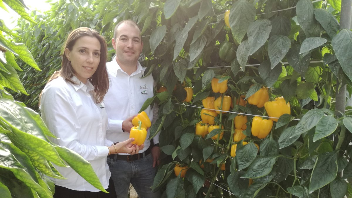Noelia Martínez Robles y Luis Twose, trabajadores de Seminis/Monsanto, junto a una planta de pimiento TORMES.