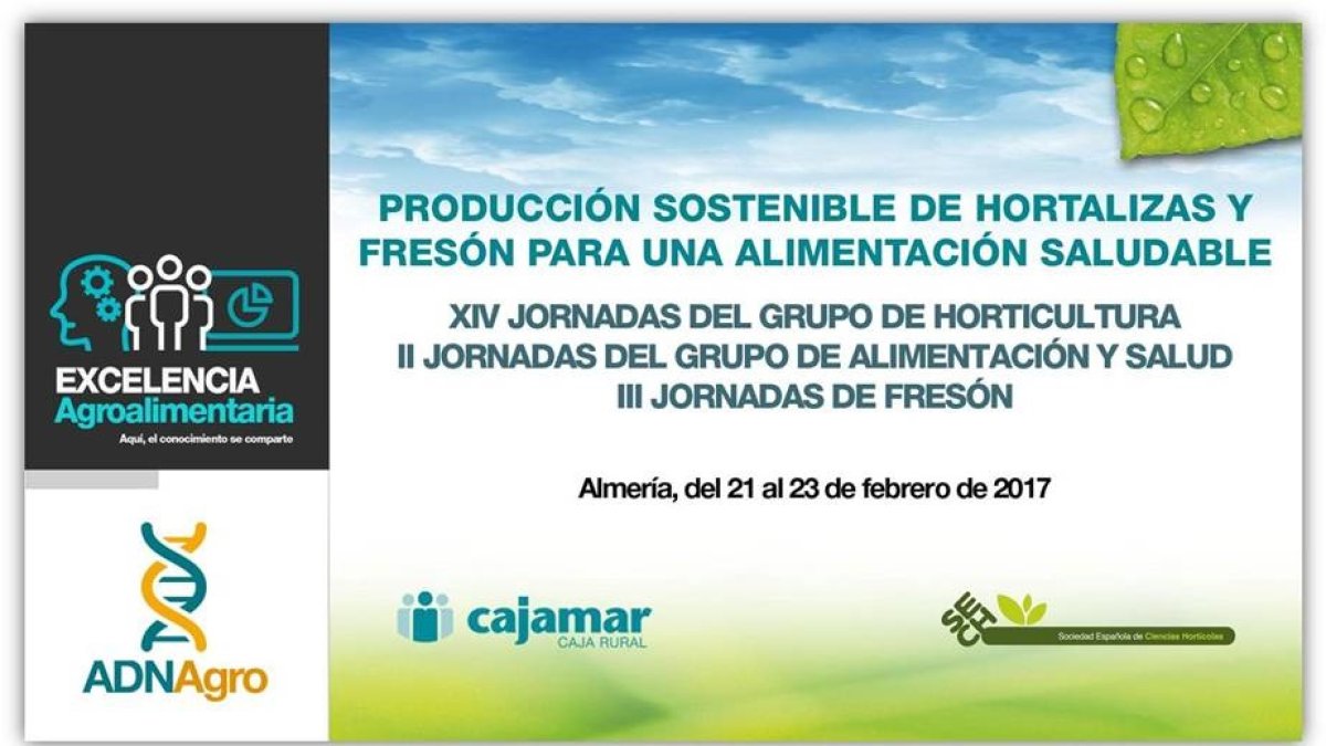 Las jornadas se celebran del 21 al 23 de febrero de 2017