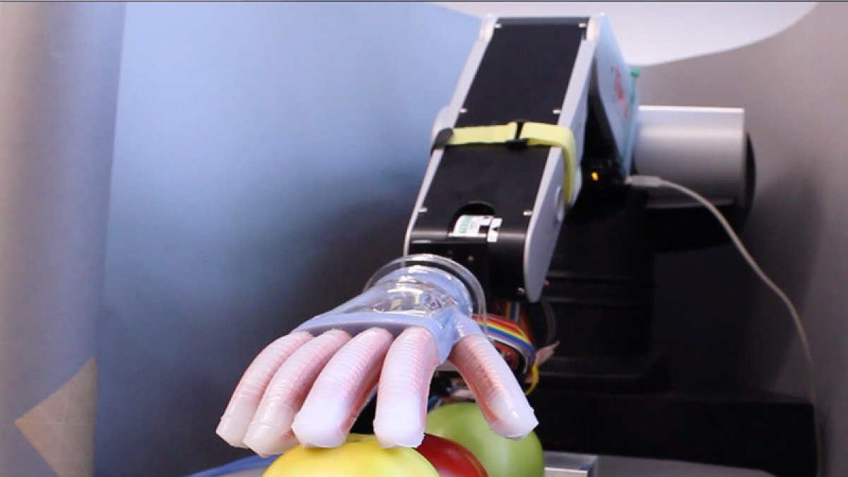 La mano robótica, en una imagen difundida por Fresh Plaza