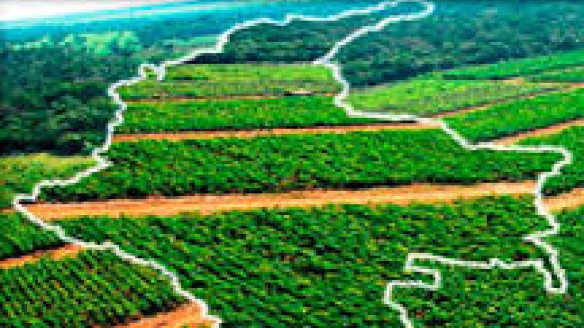 Colombia tiene unas condiciones climáticas envidiables para el cultivo de frutas y hortalizas.