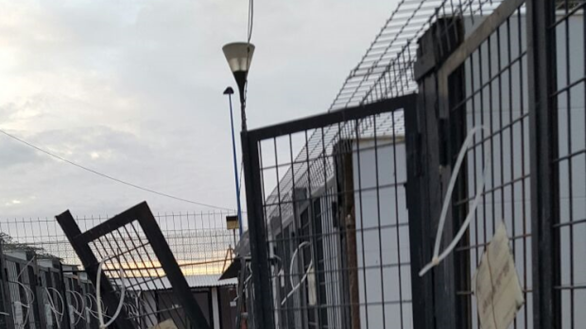 Estado de las jaulas tras el robo