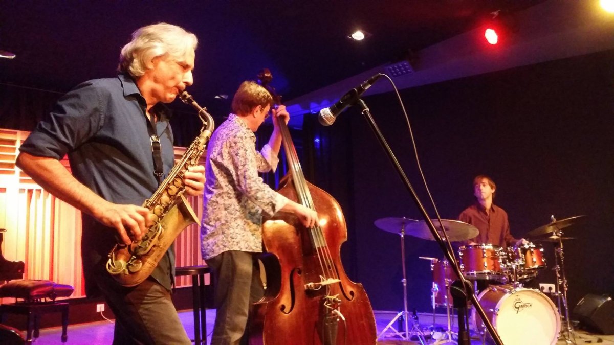 Un momento del concierto de CMS Trío el viernes en Clasijazz.