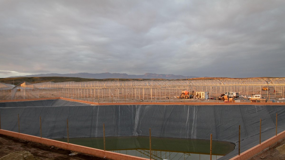 Níjar lidera el crecimiento de los invernaderos
