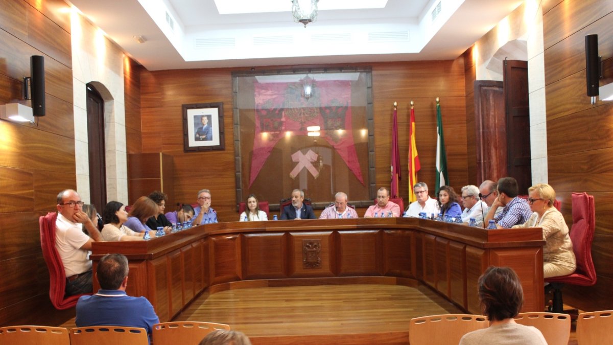 Imagen de un pleno anterior celebrado en el Ayuntamiento de Vera.