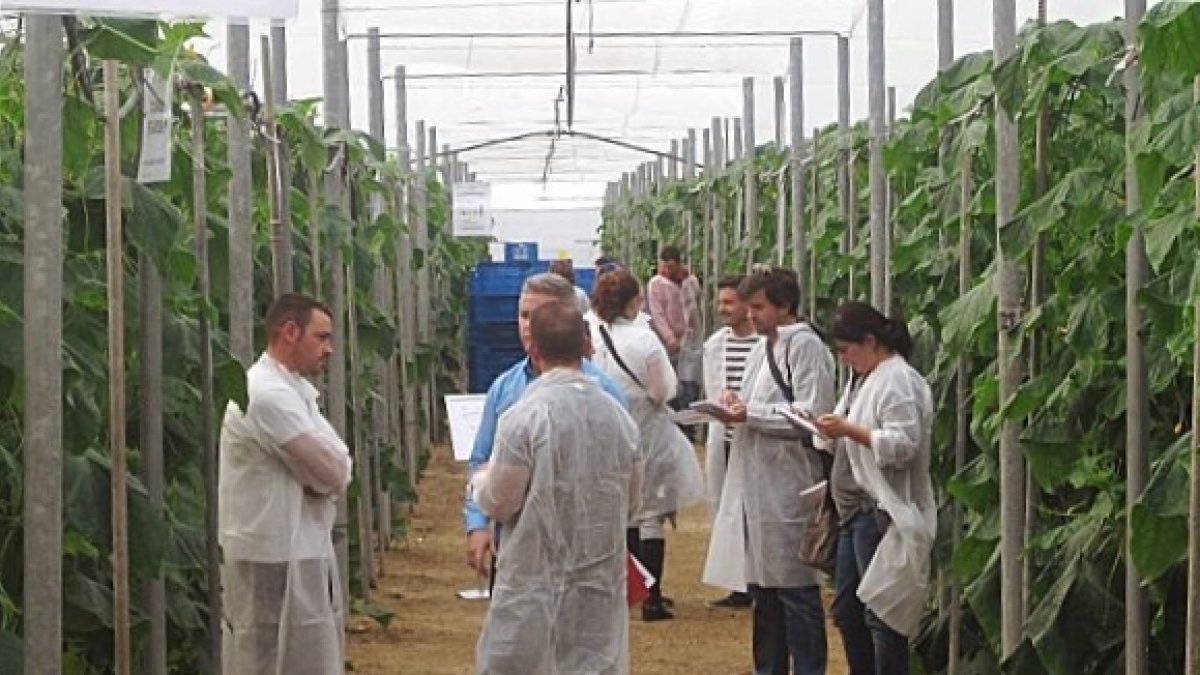 Almería ha acogido esta convocatoria con inusitado interés, sobre la base de una sólida experiencia innovadora.