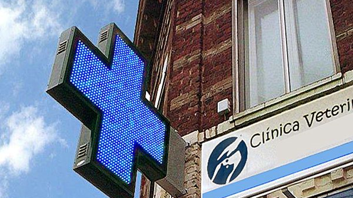 La cruz azul que se empleará como distintivo de los centros veterinarios.