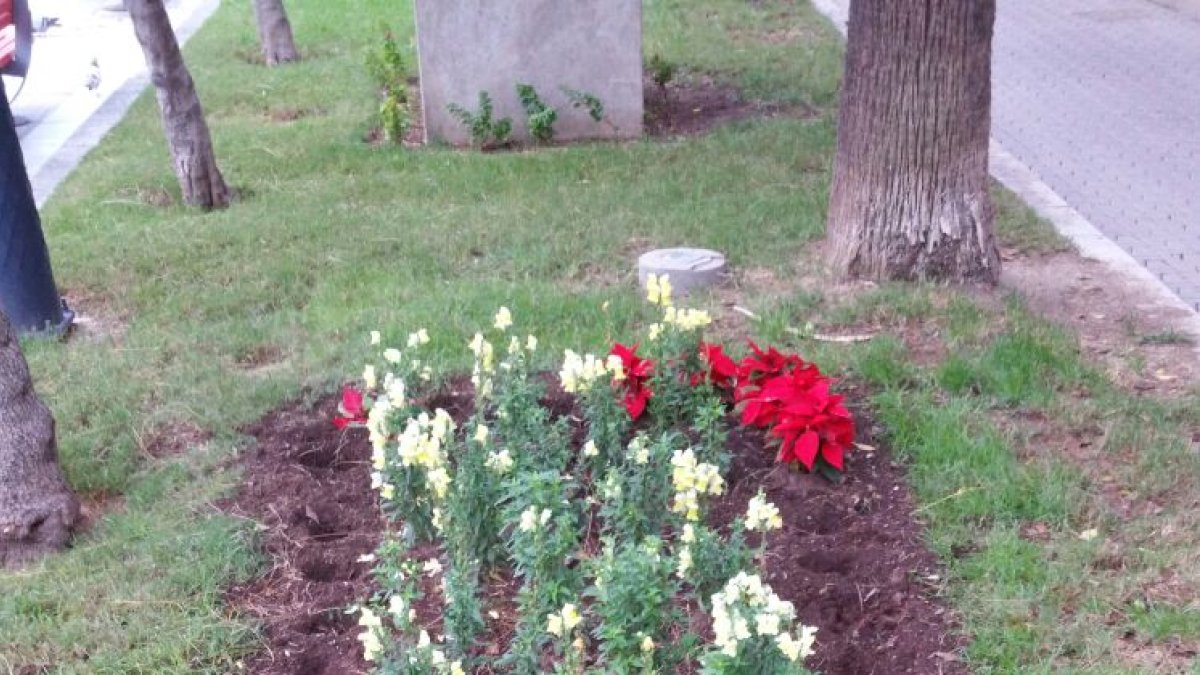 Imagen del lugar donde se encontraban los pascueros