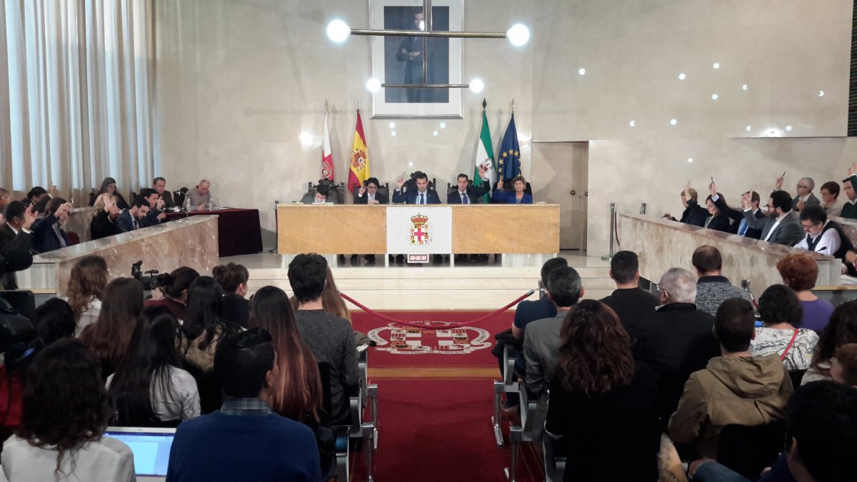 Sesión plenaria en la tarde de ayer