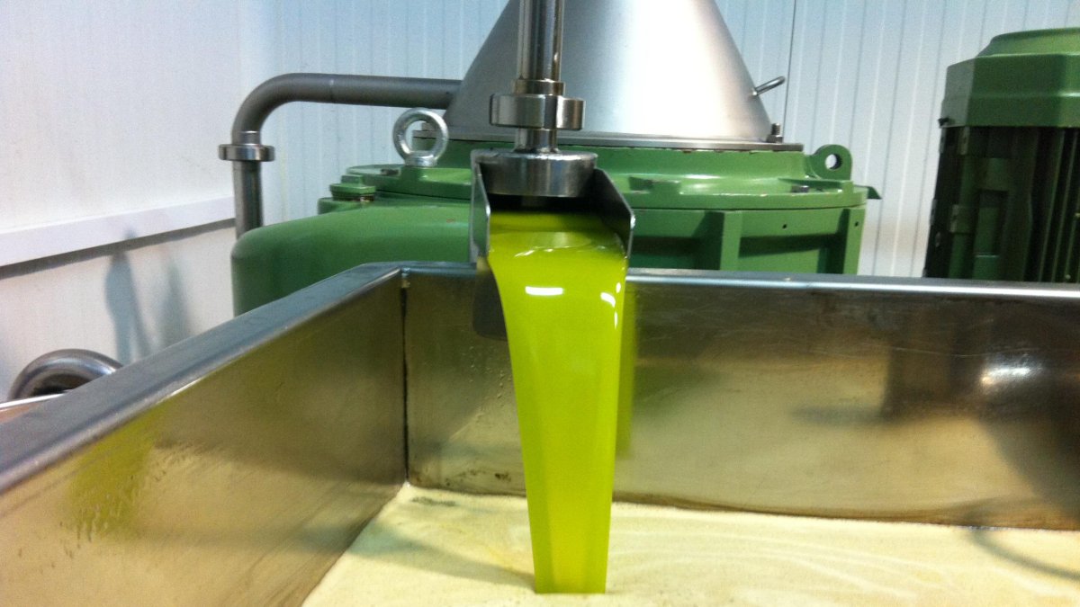 Las almazaras canjilonas se abastecen de las producciones de más de 12.000 productores de aceitunas de todo el Andarax.