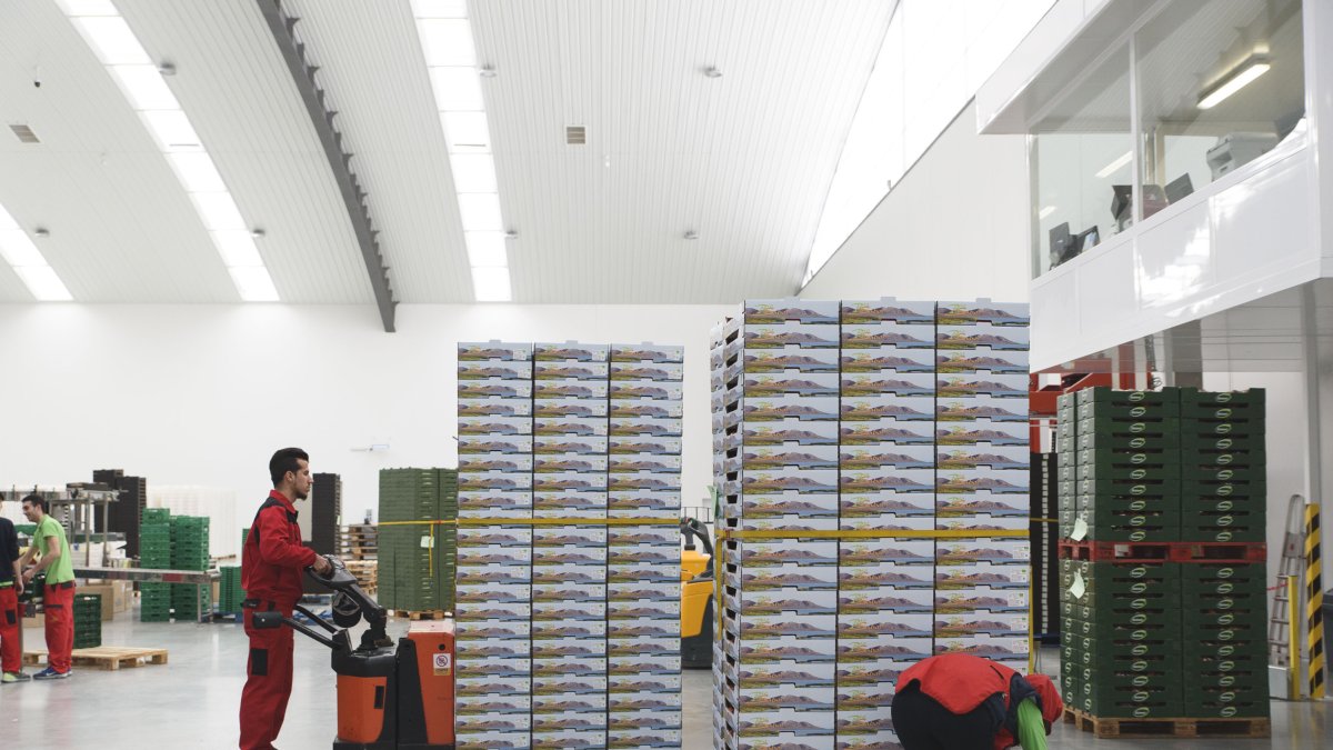 La exportación de frutas y hortalizas sigue al alza.