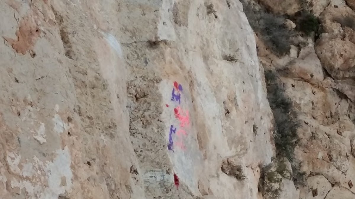 Imagen de la pintada