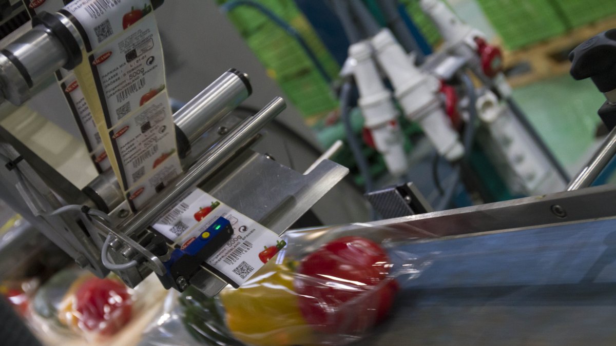 El golfo Pérsico, un mercado al alza.