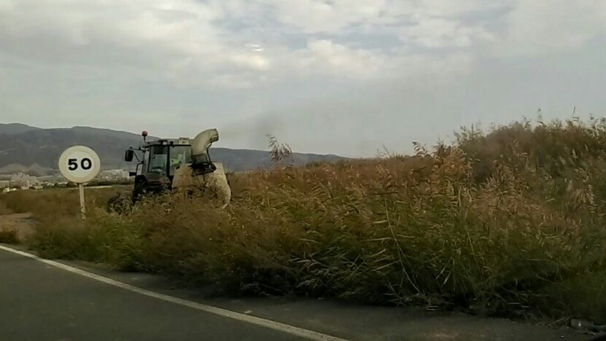Trabajadores fumigando con maquinaria pesada para evitar las plagas de mosquitos.