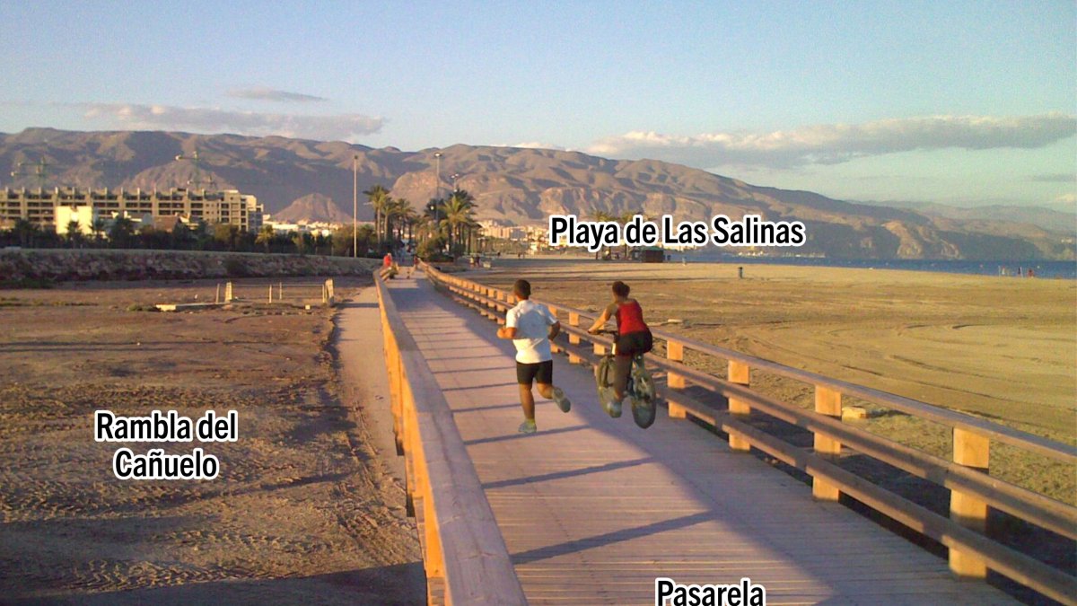 Imagen figurada de una pasarela, según la propuesta.