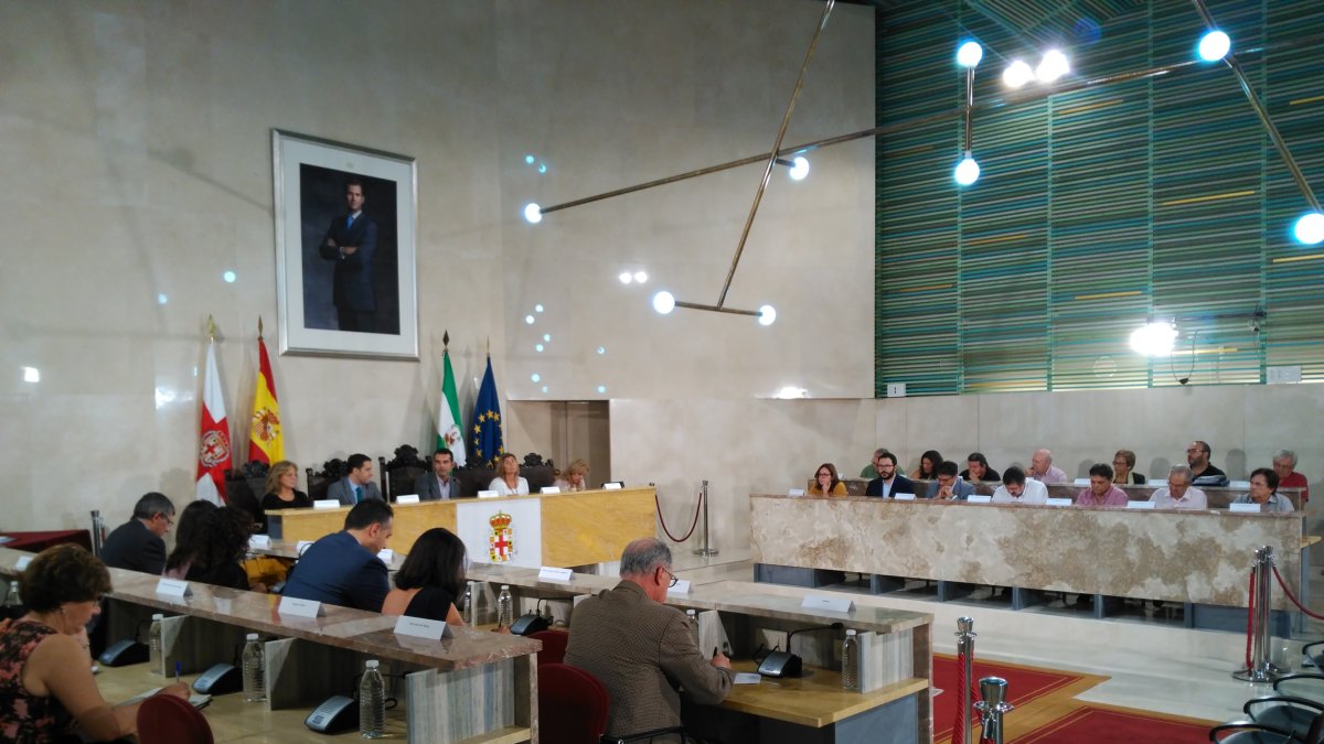 Consejo Social de la Ciudad