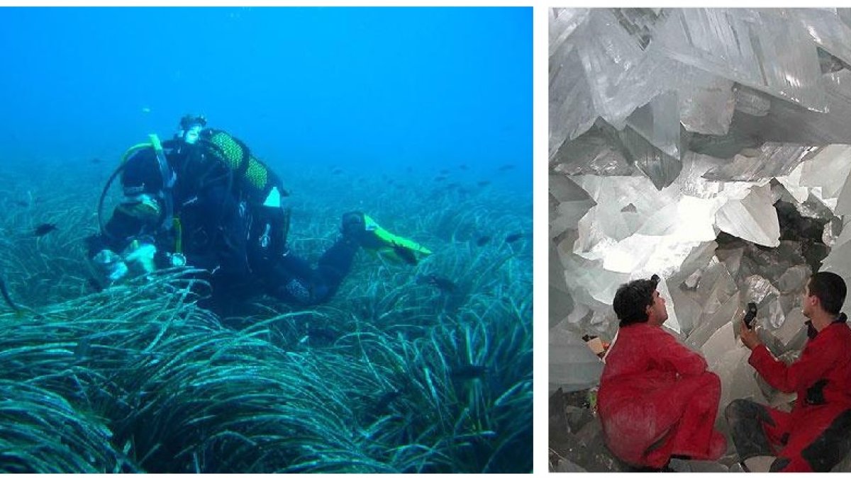 Imágenes de la Posidonia y la Geoda gigante de Pulpí, espacios naturales que podrán conocer los escolares.