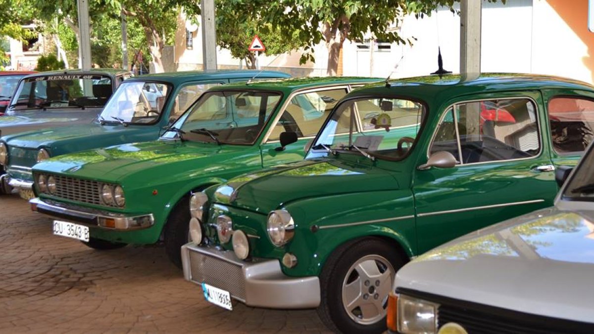 Imagen de algunos de los coches expuestos en la Concentración.