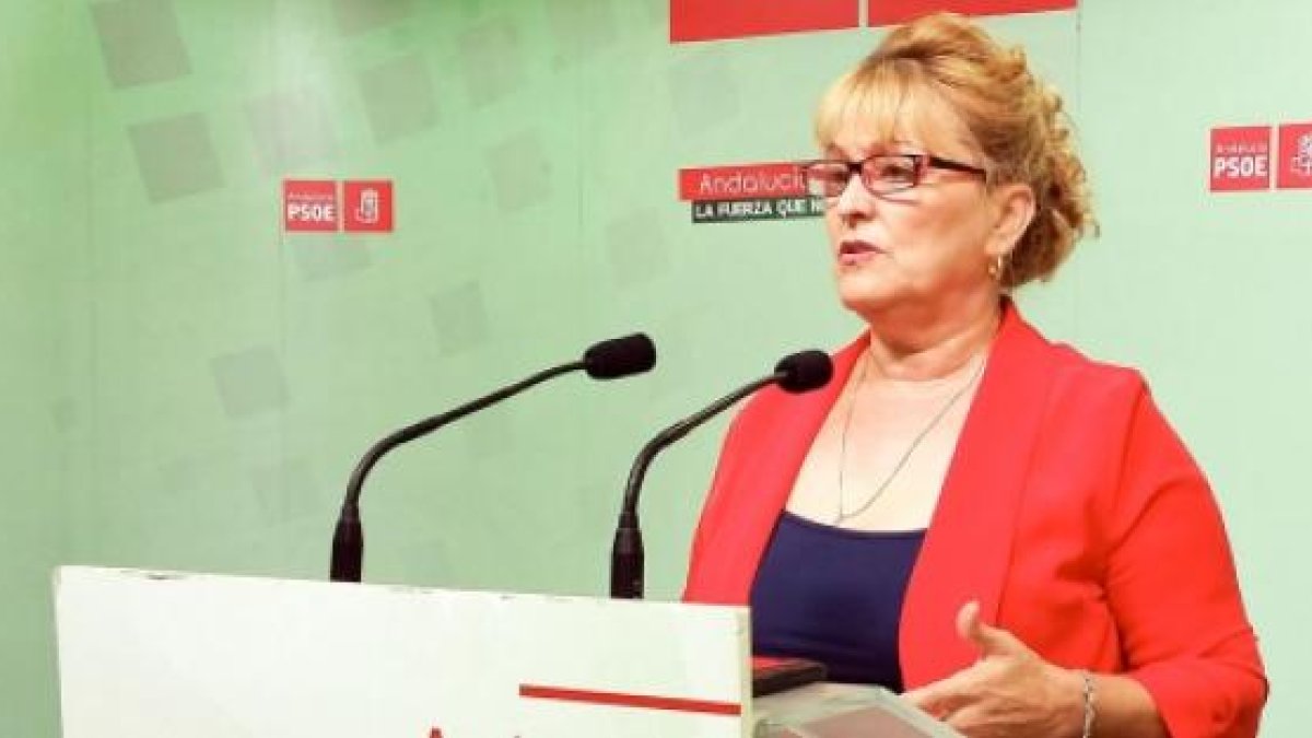 Adela Segura durante una rueda de prensa.