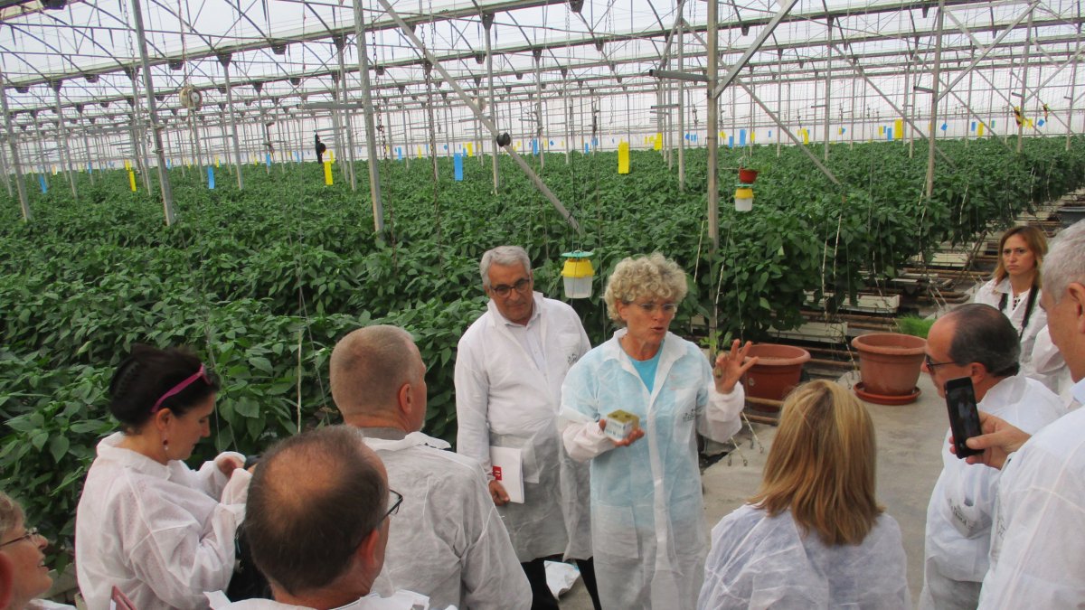 Visita de los europarlamentarios socialistas a Clisol Agro