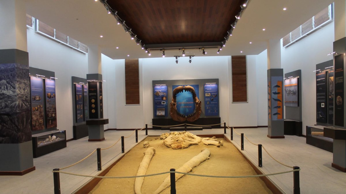 En el museo Paleontológico de Viator puede hallarse una respuesta del