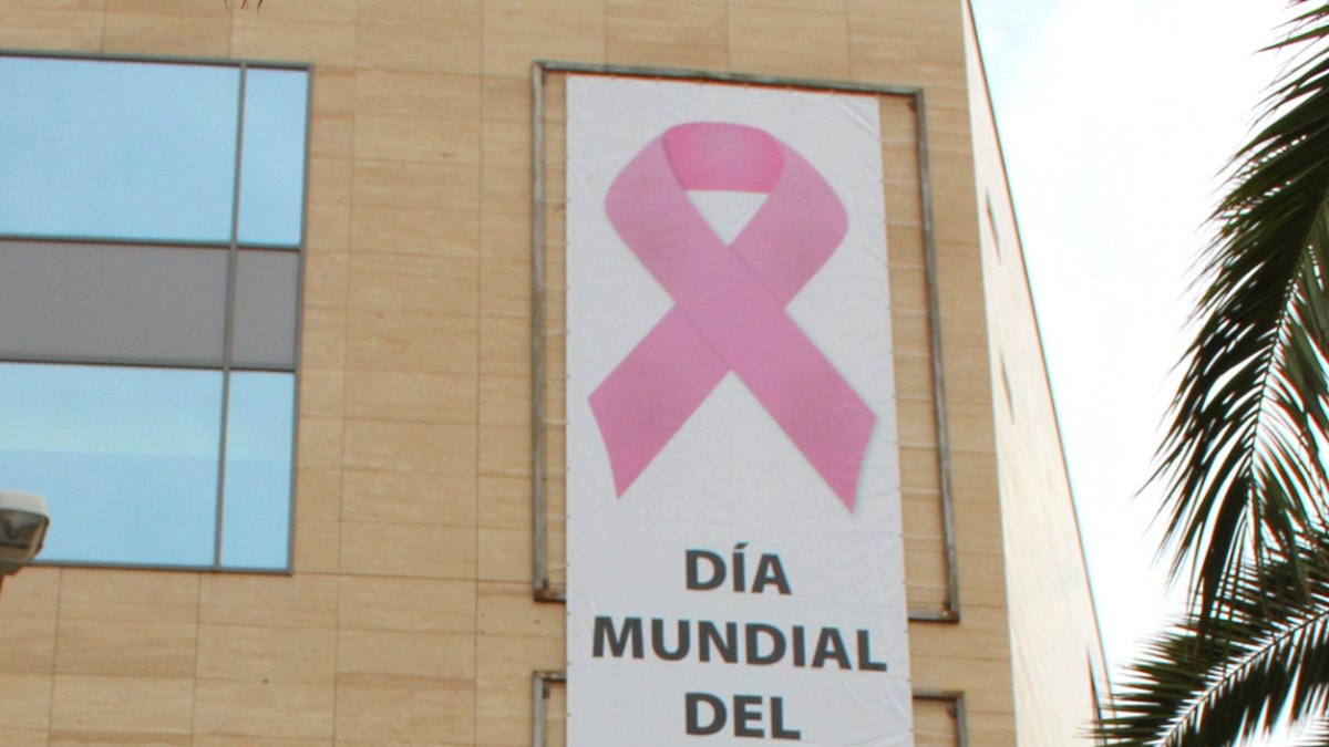Colocación del lazo rosa hoy en la fachada del Auditorio de El Ejido.