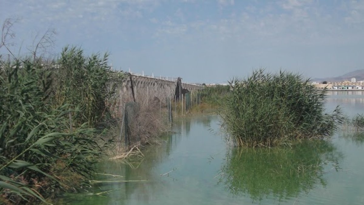 Inundaciones provocadas por la subida del nivel del agua en la Balsa del Sapo, en Las Norias.