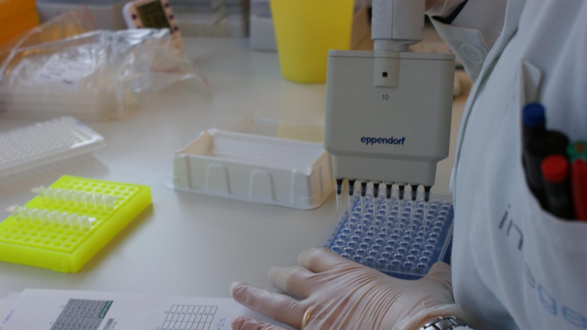 Imagen de archivo del trabajo de investigadores