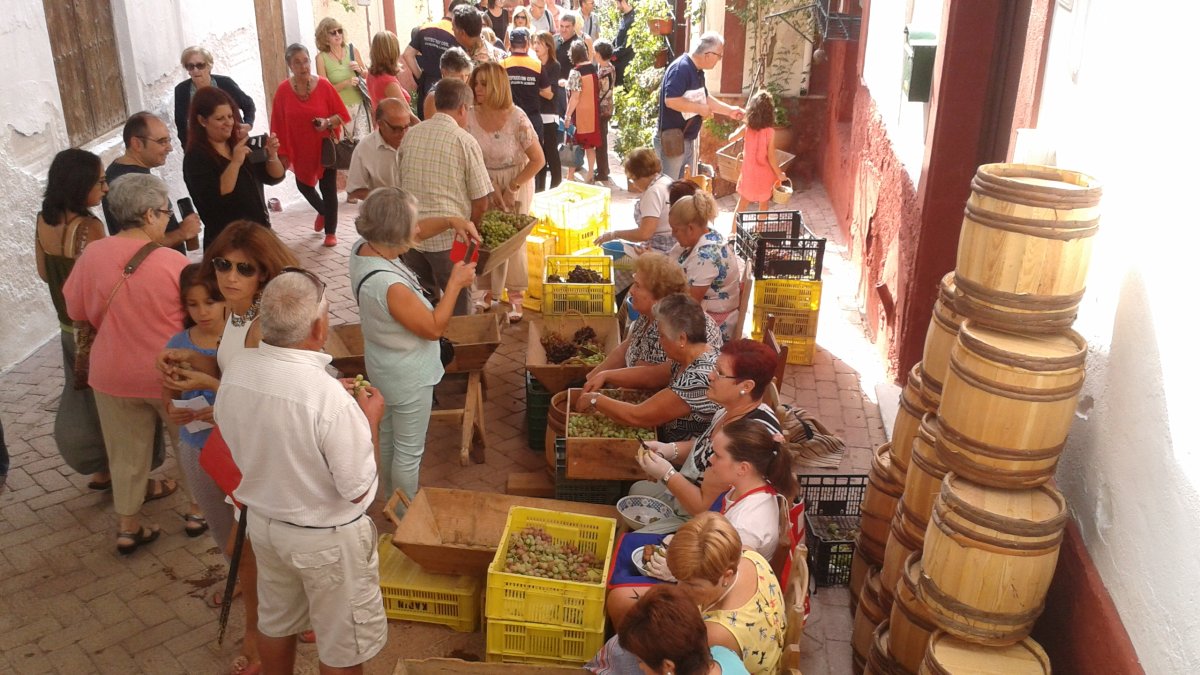 La uva de Almería fue muy codiciada y valorada años atrás. Un sector que durante más de un siglo fue el motor económico de la provincia y que estuvo