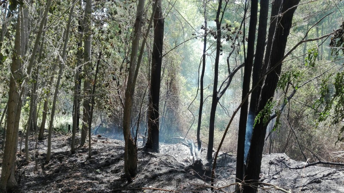 La sequía mantiene muy elevado el riesgo de incendios.