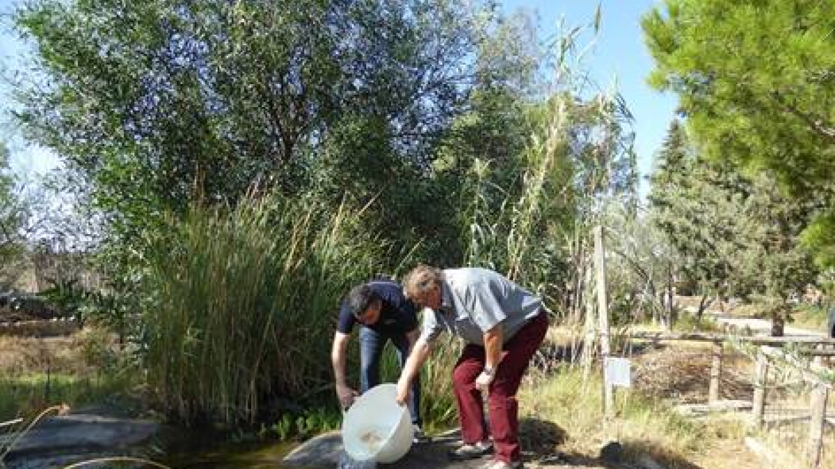 Un momento del operativo para buscar un nuevo habitat a las carpas