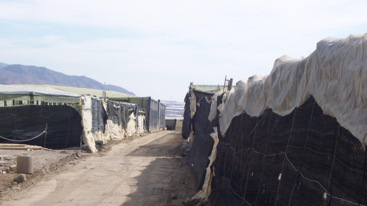 Invernaderos de Pampanico