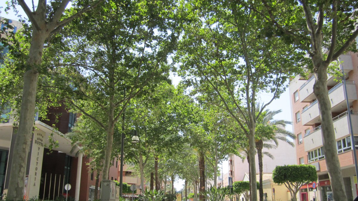 En la imagen, bulevar de El Ejido, una de las principales arterias de la ciudad.