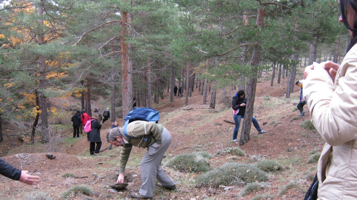 Imagen de archivo de reocgida de setas por parte de expertos y aficionados en la Sierra de Los Filabres.