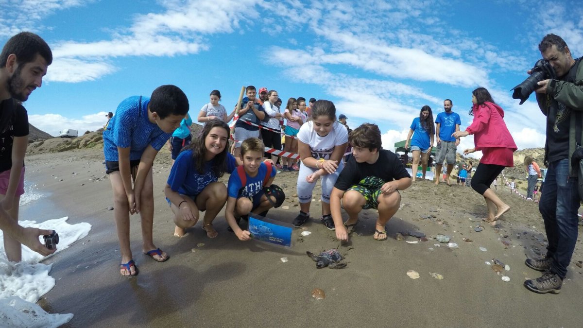 Momento de la suelta