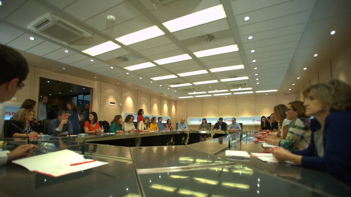 Ejecutiva federal socialista