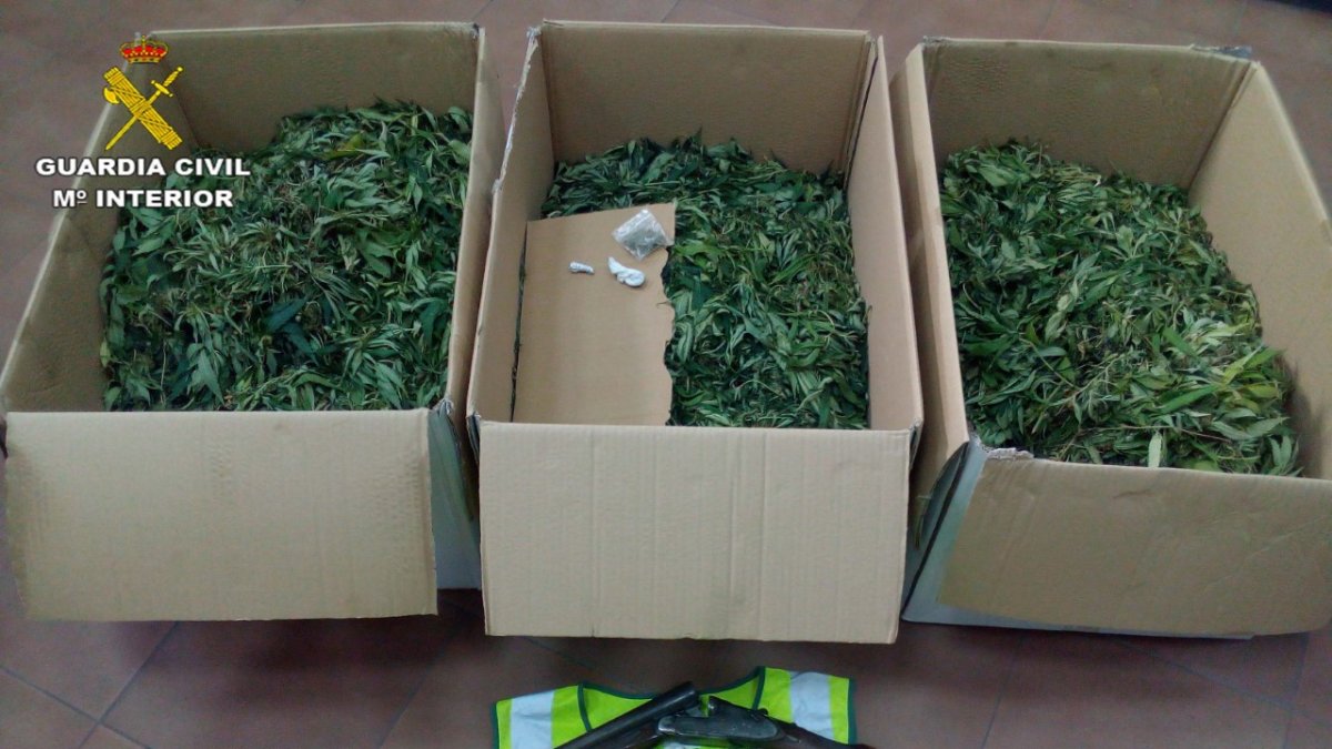 Droga y arma recuperada por la Guardia Civil.