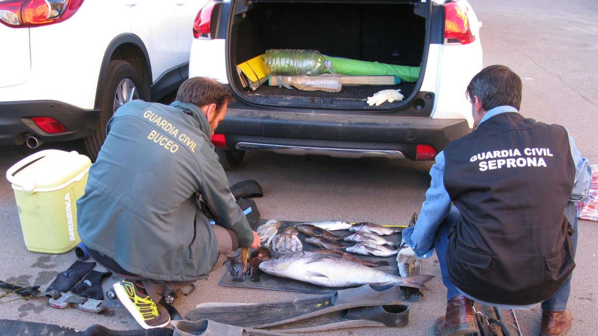 Efectos intervenidos por la Guardia Civil.
