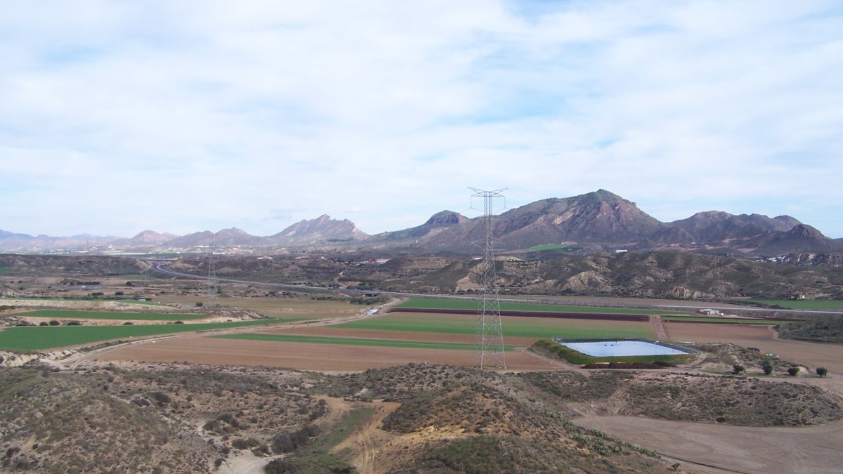 La única condición que pone el redactor del informe es que las tortugas tengan un pasillo natural para reptar entre Almagro y Almagrera.