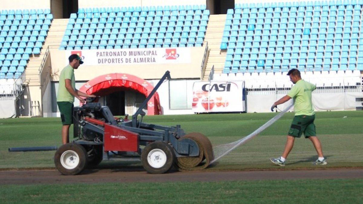Un año más el césped del Mediterráneo será cambiado.