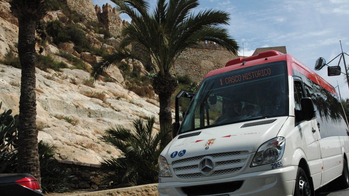 Imagen de la Línea 1 de autobús