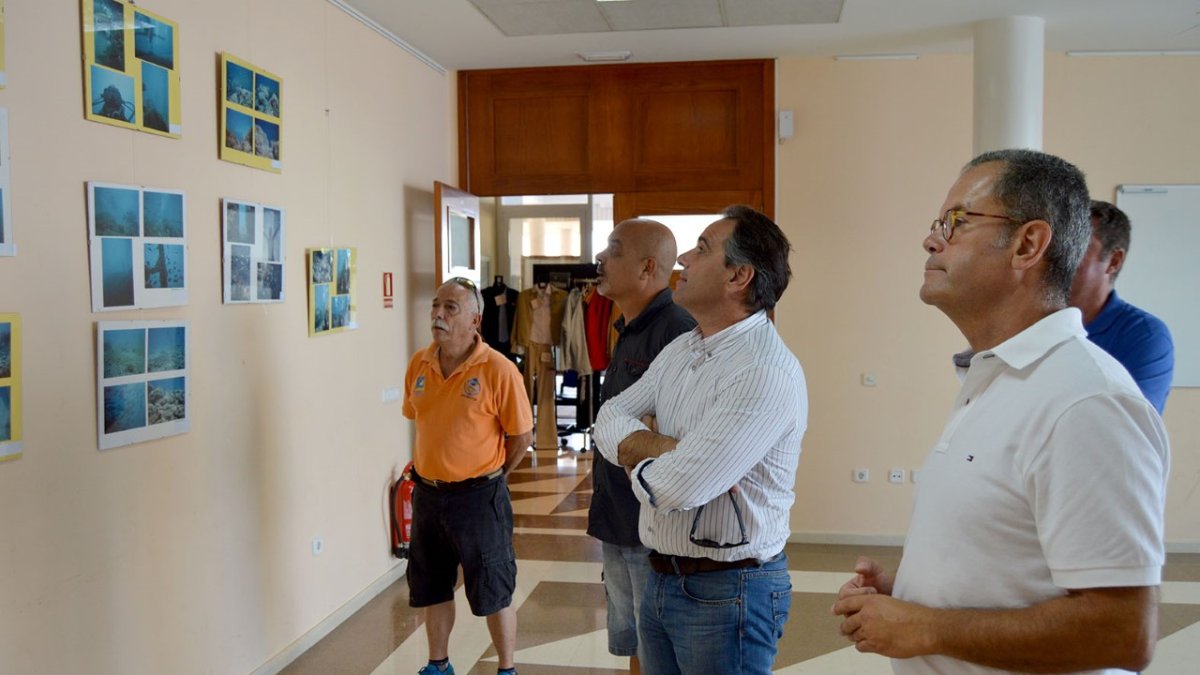 Seguimiento de la exposición.